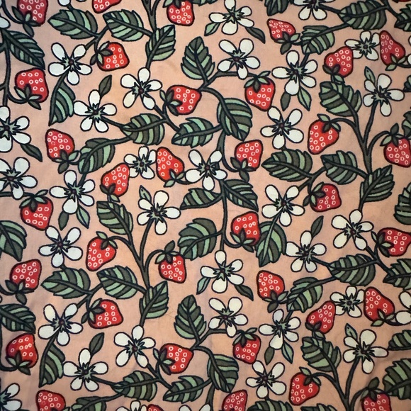 Boden Strawberry Field button up - Picture 3 of 4